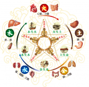 中医基础常识，学会终身受益